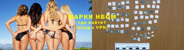 сатива Покачи