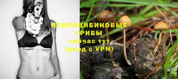 прущие крисы Аркадак