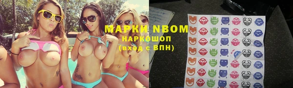 прущие крисы Аркадак