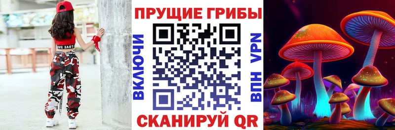 Галлюциногенные грибы мицелий  Саки 
